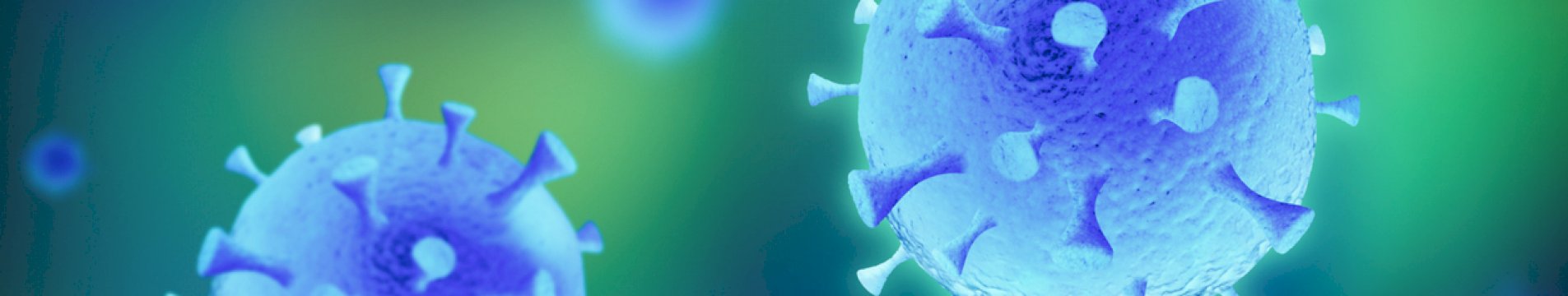 A message from our Directors