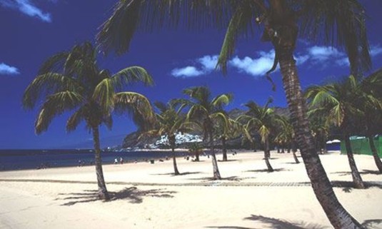 Sunny day on a white beach covered in palm trees. Explore Tenerife Stag Party ideas below: