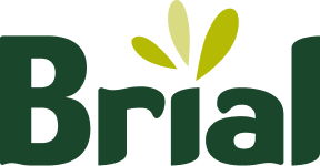 Brial, Zaragoza ciudad (Inmobiliarias)