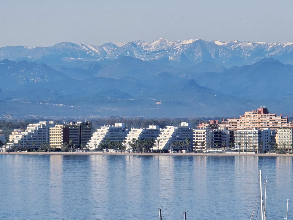 Immo Hernandez, Roses (Kiinteistönvälittäjä)