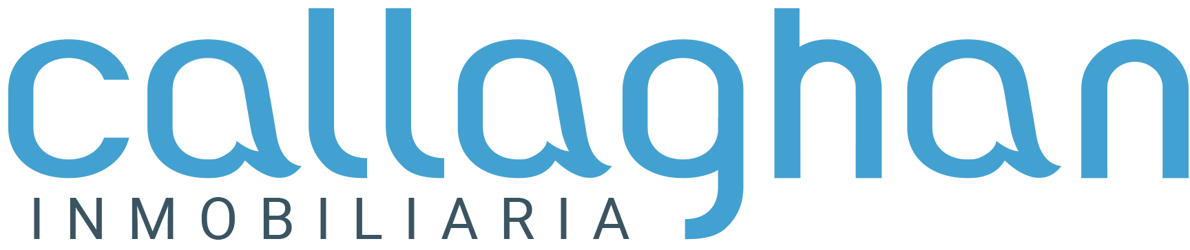 Callaghan Inmobiliaria, Valence ville (Agences immobilières)