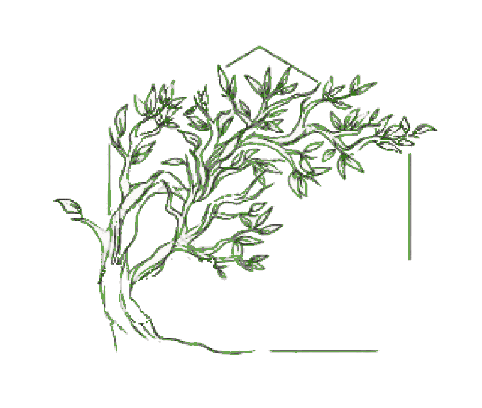 Mallorca Property Guru, Binissalem (Estate Agents)