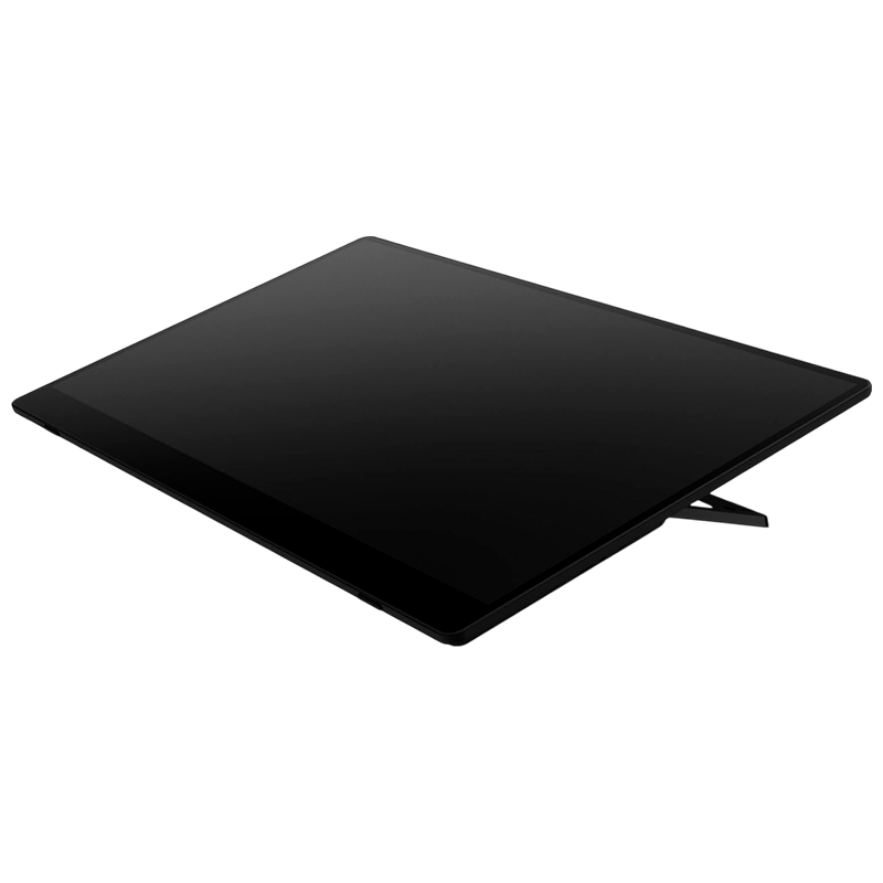 Дисплей Ricoh 150BW 15.6"