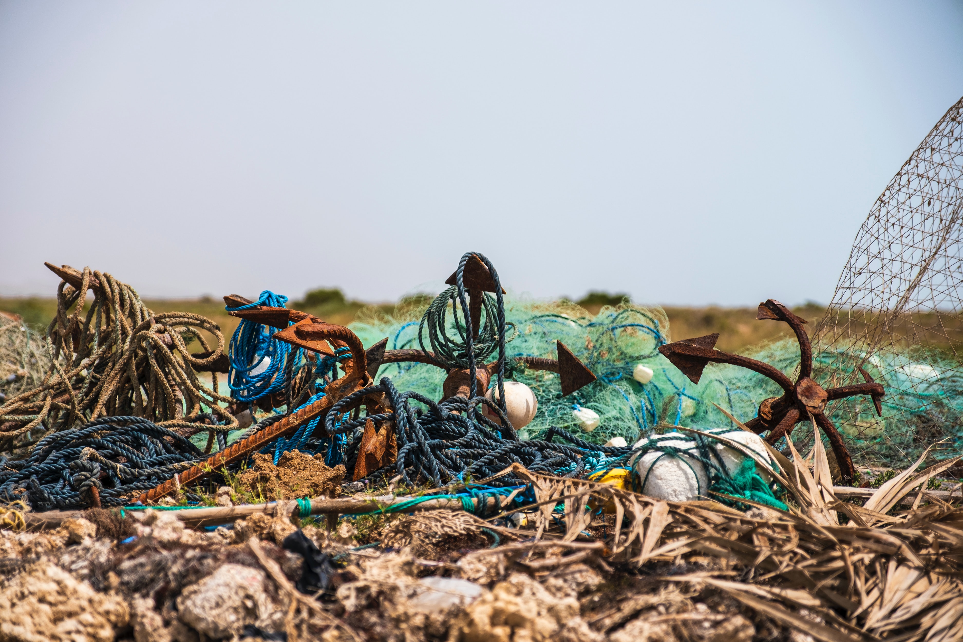 LEARN 'From Pollution to Solution A global assessment on marine litter and plastic pollution