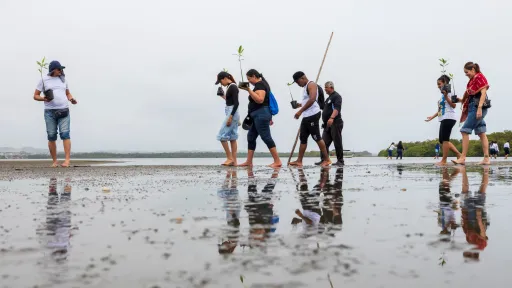 People walking on wetland