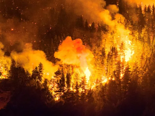 Flames rip through a forest at night