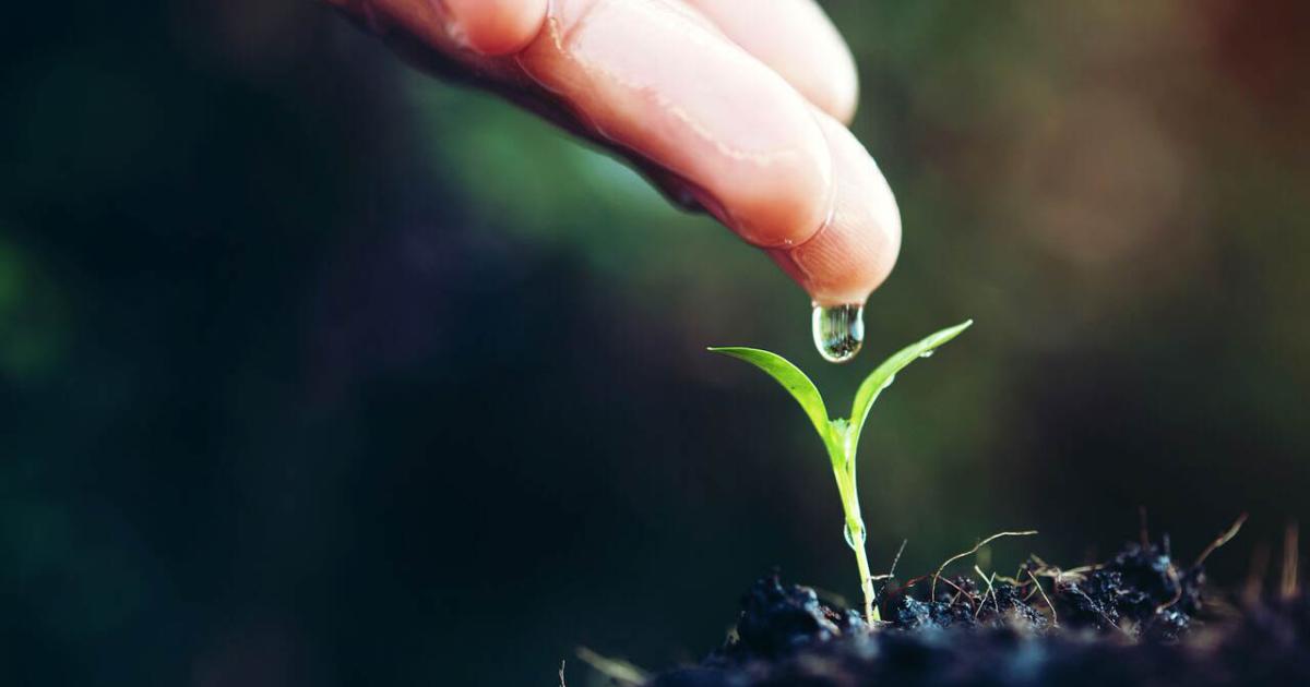 Environment under review