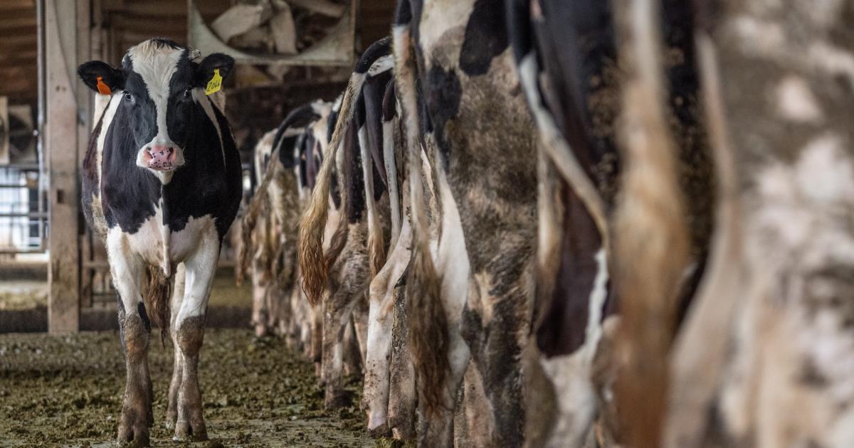 Methane emissions are driving climate change. Here’s how to reduce them.