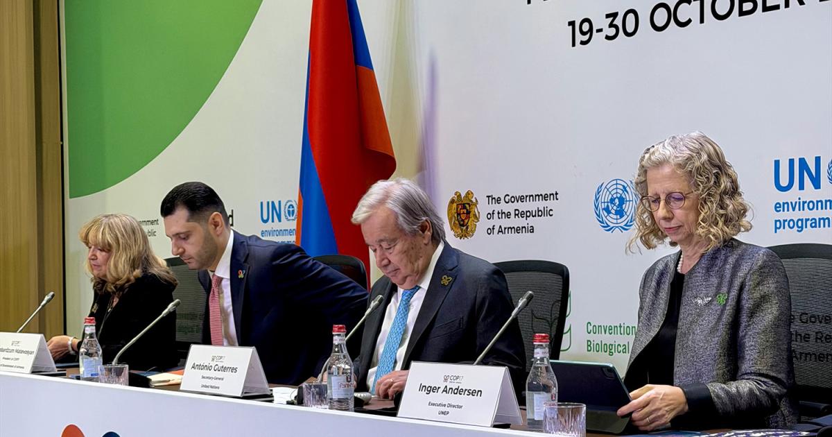 ED press statement – launch of the State of Biodiversity Report, COP17 Leaders’ Summit