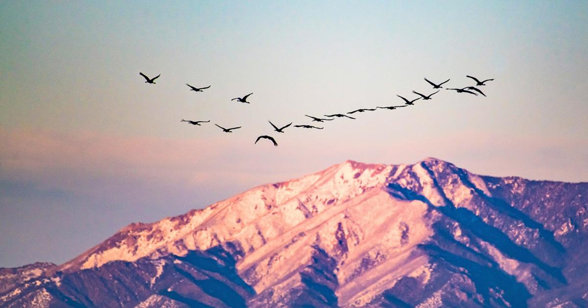 Call for Expressions of Interest to Host World Environment Day 2028 or 2029