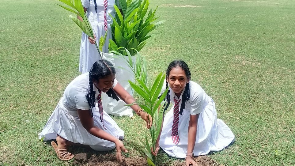 பரீட்சையின் பின்பான முன்மாதிரியான செயற்பாடு