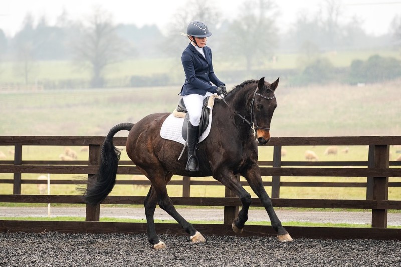 Example Blog Article Title