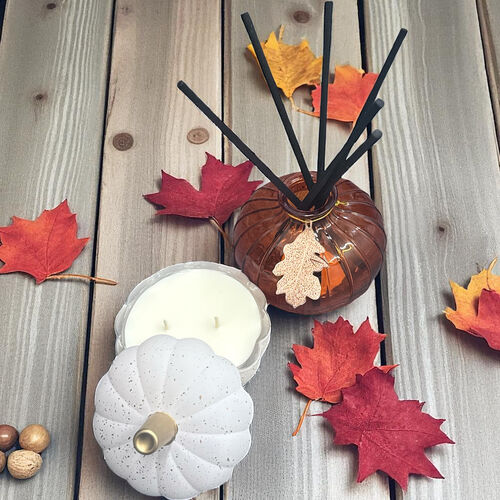 Pumpkin Lovers Set