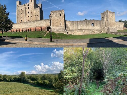 The Canterbury Trails 2026