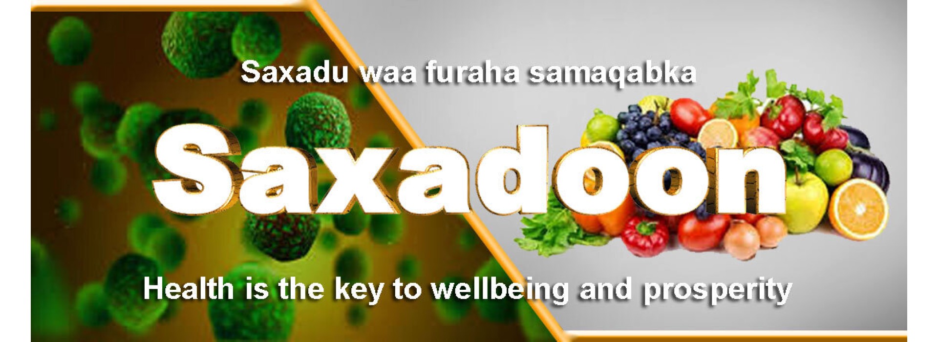 Infectious disease awareness Kenya