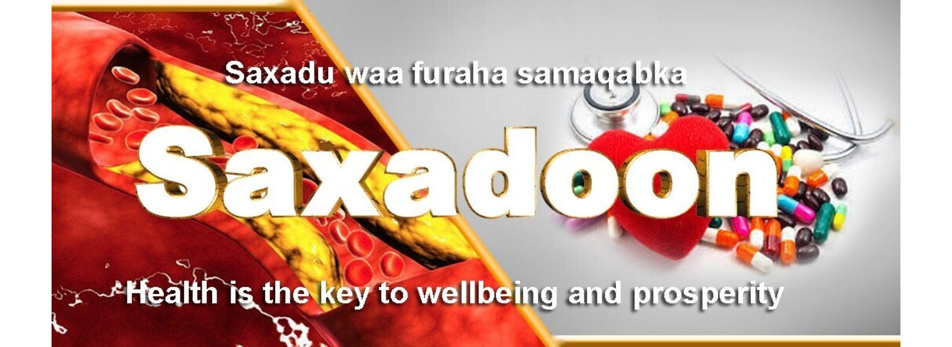 Healthcare science training Somalia