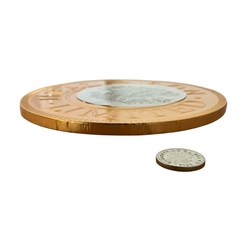 Giant Milk Chocolate Coin 90g
