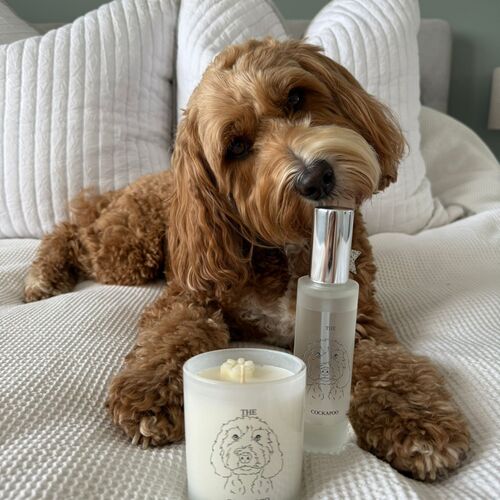 The Cockapoo Spaniel Travel Spray