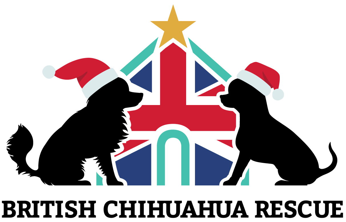 British Chihuahua Rescue