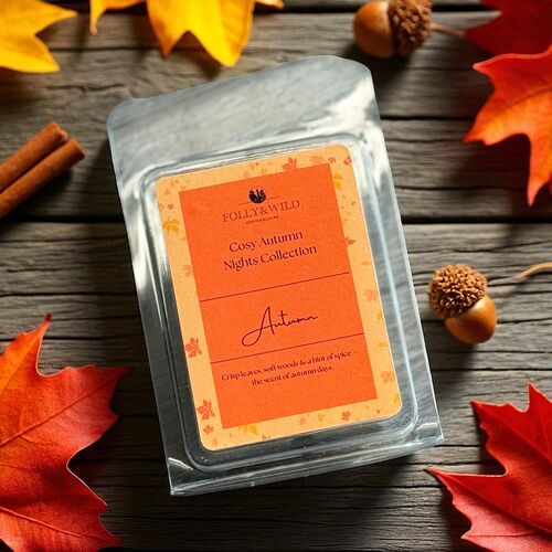 Cosy Autumn Nights Wax Bar