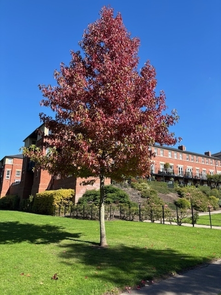 *ON THE BRIGHT SIDE NOVEMBER 2025 - FEBRUARY 2026*