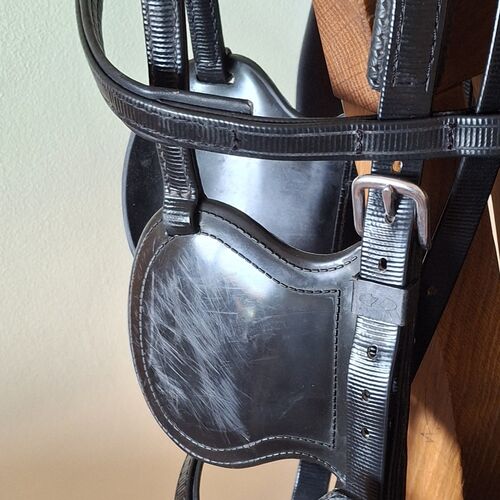 Shetland Harness Set *Secondhand*