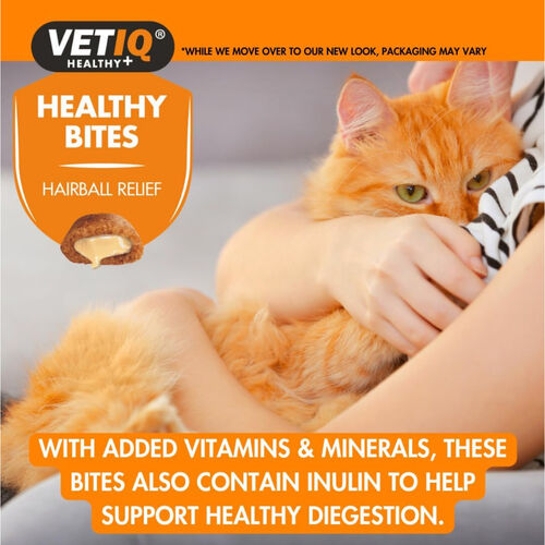 Healthy Bites Hairball Relief For Cats 65g