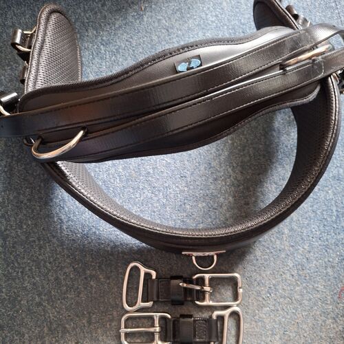 E/Collar - Cob *Secondhand*