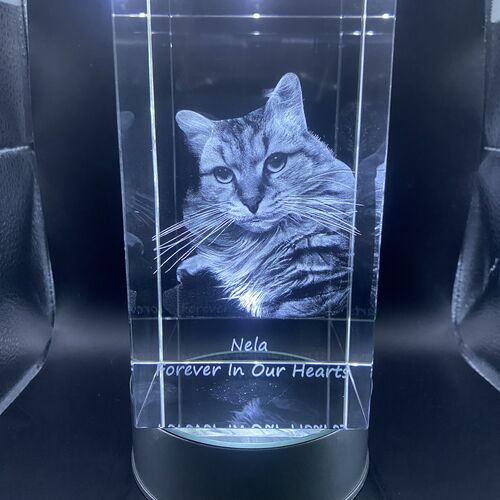 The Beautiful 3D Arran 10x6x6cm Crystal Block