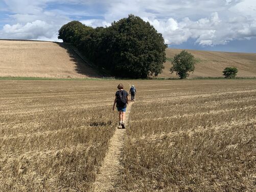 The Canterbury Trails 2026