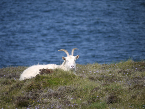Isle of Anglesey, Wales 2026