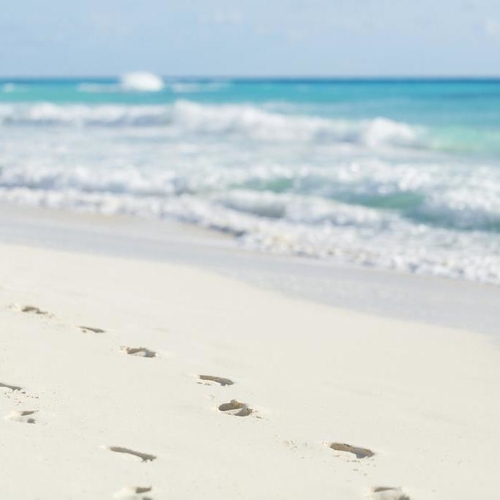 The Ritz Carlton Cancun