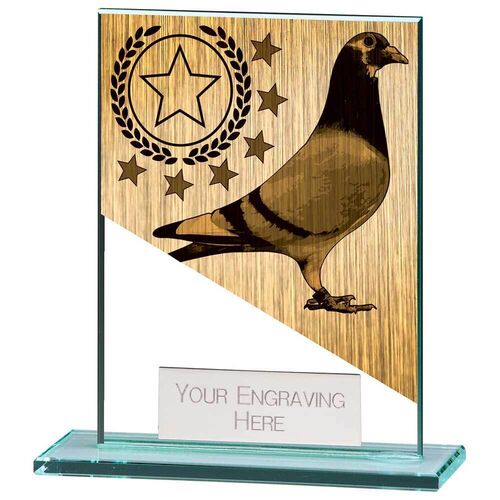 Pigeon Racing