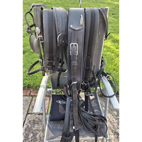 Tedex FS Harness *Secondhand*