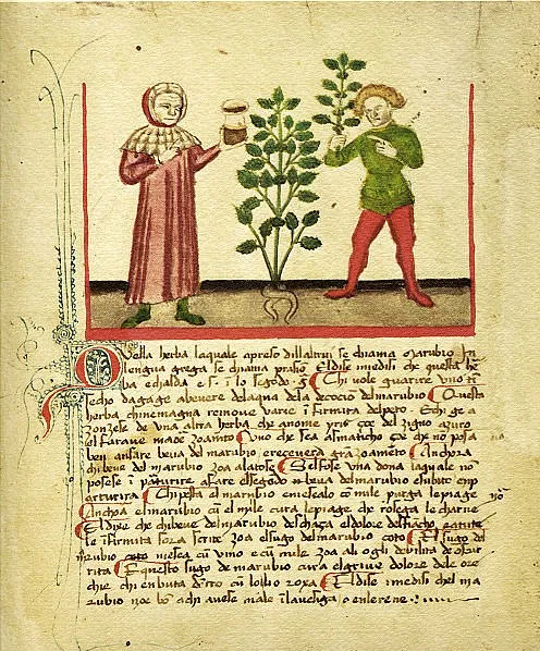 The Origins Of Aquavit - Botanical Alchemy