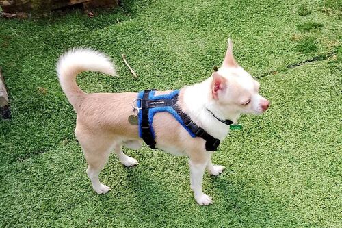 Casper
