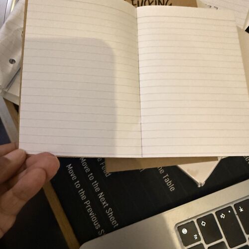 I Fucking Hate People Pocket Notebook