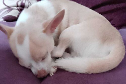 Casper