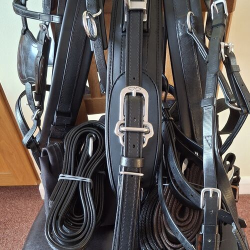 Shetland Harness Set *Secondhand*