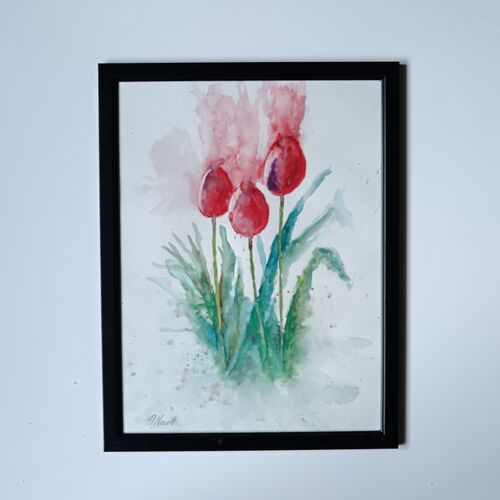 Tulips