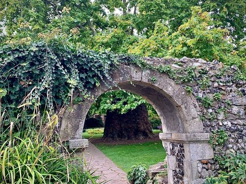 The Canterbury Trails 2026