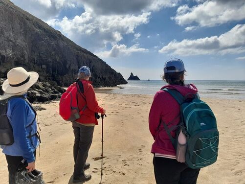 Tenby, St Davids and the Pembrokeshire Coastal Path, Wales 2026
