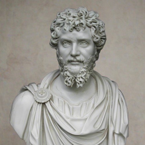 Terms & Conditions Governing Appointee's 