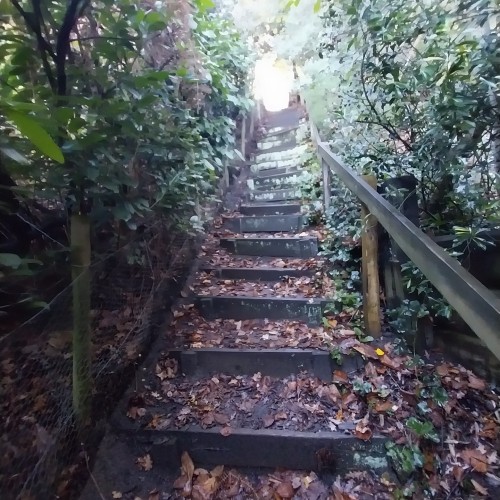 Reigate to Dorking, Sunday 23rd November