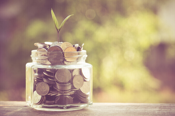 Raising Capital - Debt or Equity