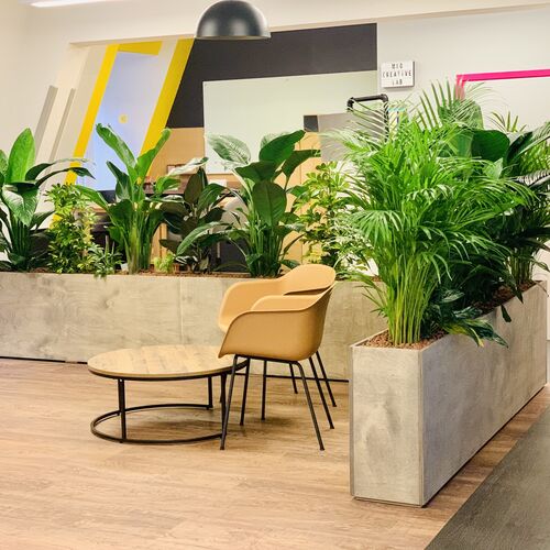 Planter Dividers