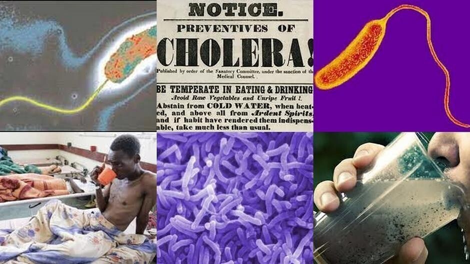 Halista Cudurka Daacuunka iyo ka hortagiisa