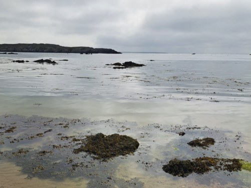 Isle of Anglesey, Wales 2026
