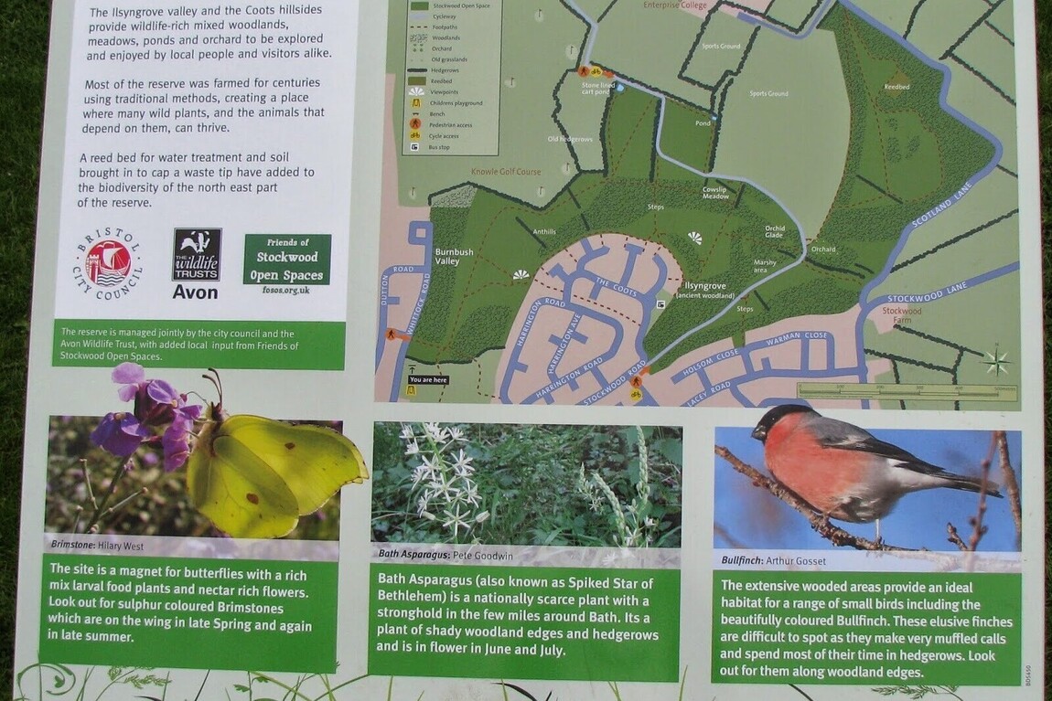 Stockwood Open Space