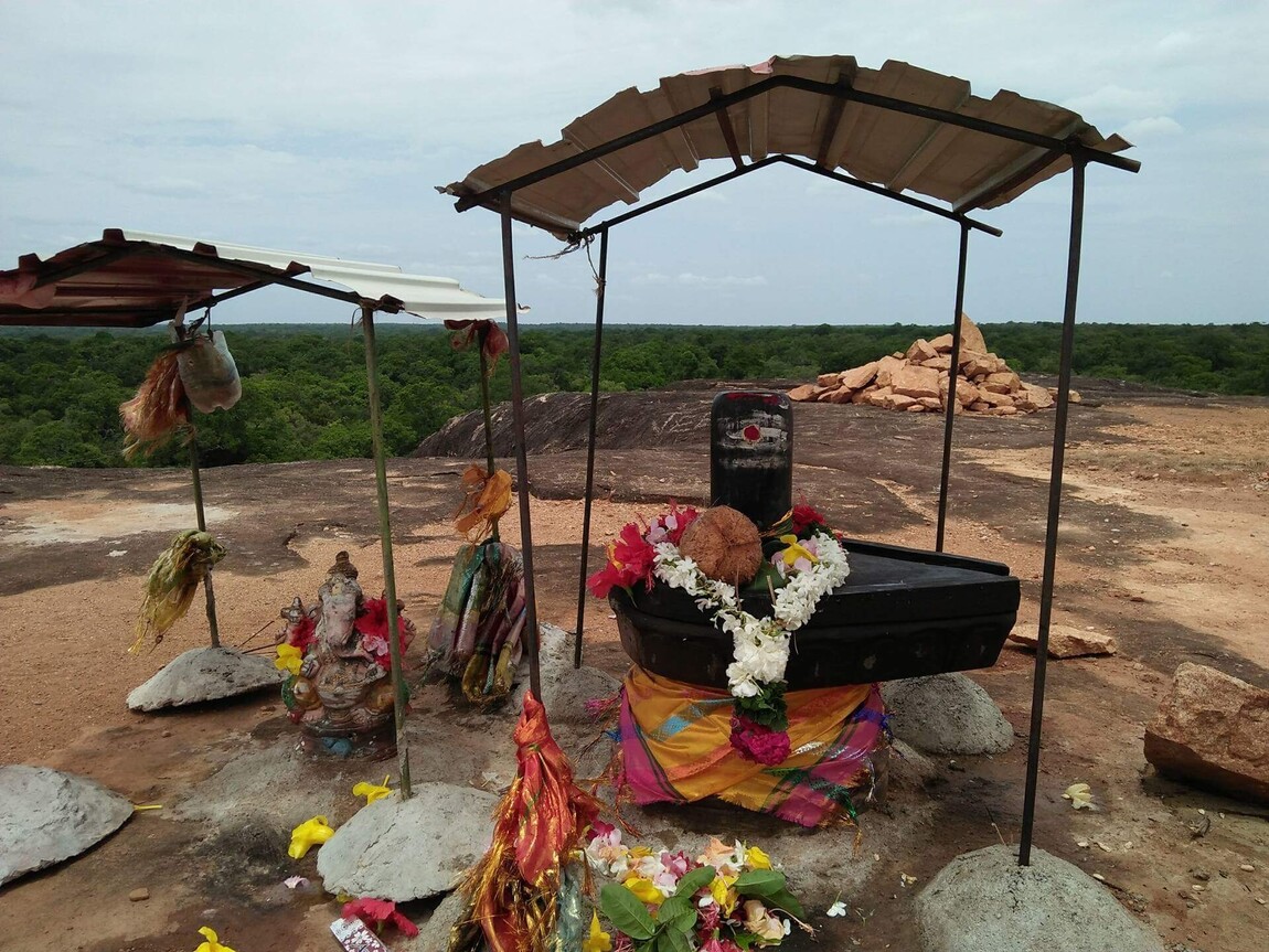 வெடுக்குநாறிமலையில் கைதான எவரும் துன்புறுத்தப்படவில்லை - பொலிஸாரின் வாக்குமூலம்